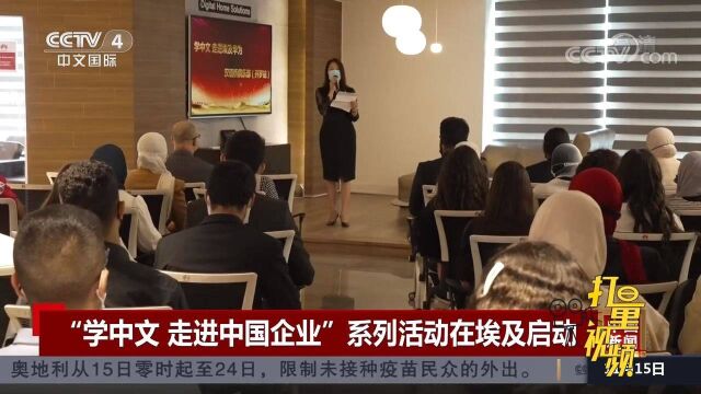 “学中文,走进中国企业”系列活动在埃及开罗启动