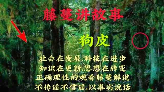 民间鬼故事,不知道吓不吓人