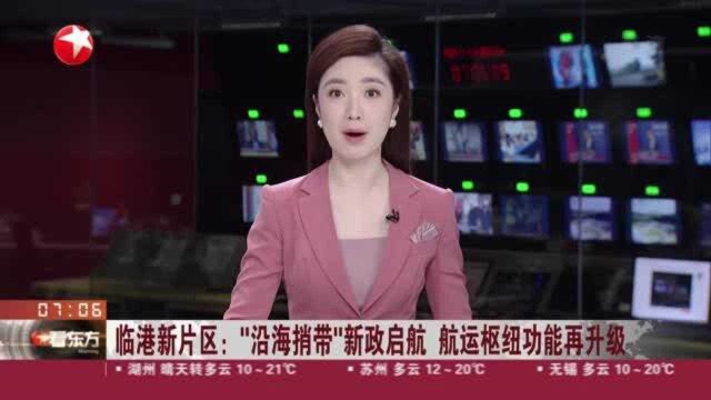 临港新片区:“沿海捎带”新政启航 航运枢纽功能再升级