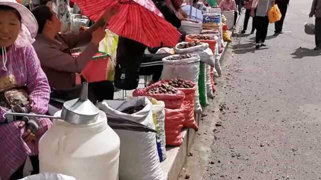 云南曲靖农村集市,一整条街都是卖核桃和板栗的,来自农民的山货