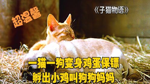 腾讯视频 腾讯视频