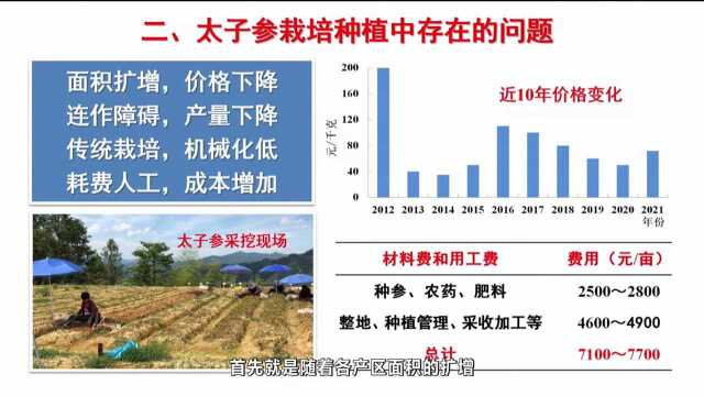 【乡约科普】2021第91期 太子参病虫害的综合防控技术