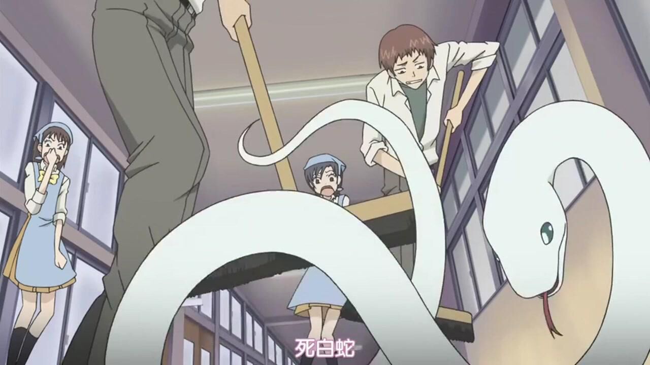 元气少女缘结神:奈奈生救了一条蛇,哪料蛇为报恩,准备娶她为妻_腾讯