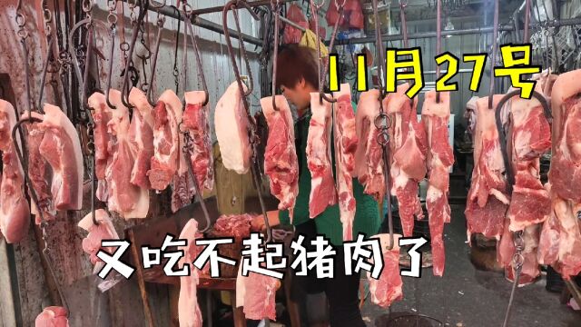 实拍江苏猪肉一天一个价,11月27号卖多少一斤,看完你会买吗