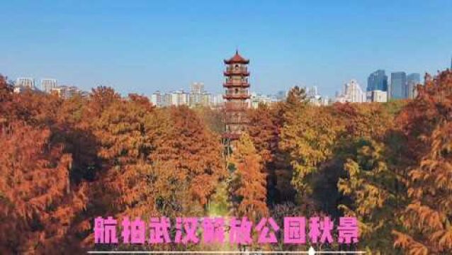 航拍武汉解放公园秋景