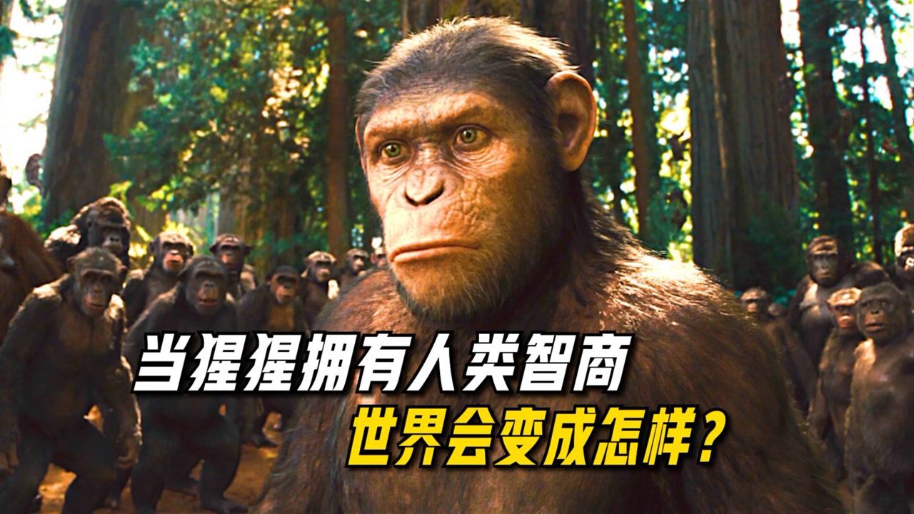 人猿大战一触即发,高智商的猩猩能战胜人类吗?_腾讯视频