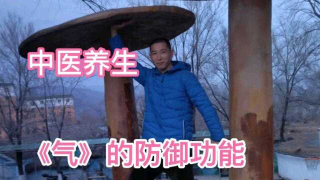 中医养生《气》的防御作用