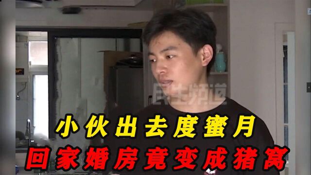 小伙出去度蜜月,房子却被陌生人搞成猪窝,侄子:这些都是我朋友