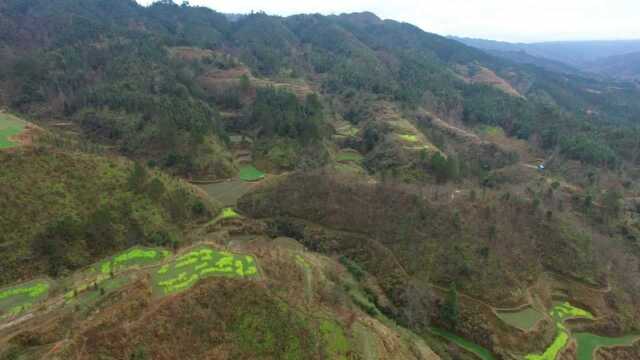 此地天降神龙,双狮护穴,靠山叠嶂,真是个出富商的墓葬风水宝地