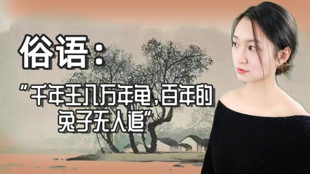 俗语:“千年王八万年龟”啥意思?还有下半句更经典,你知道吗?