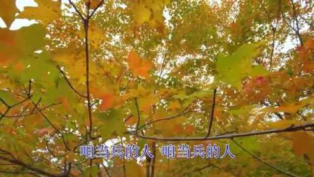 《王宏伟  咱当兵的人》