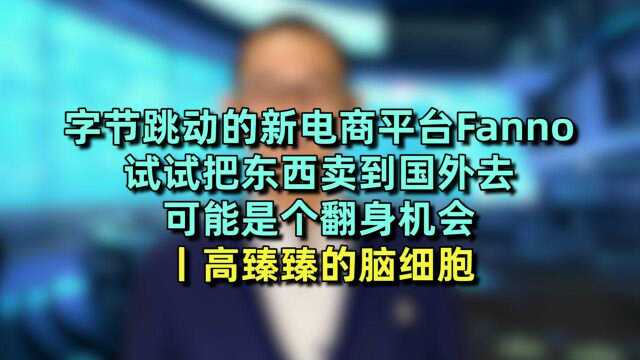 字节跳动的新电商平台Fanno 试试把东西卖到国外去 可能是个翻身机会丨高臻臻的脑细胞