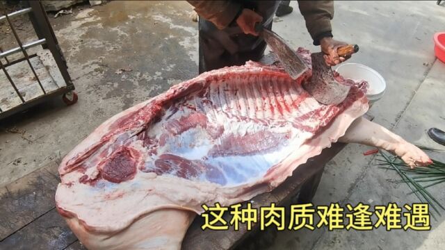 吃了13个月草食的猪肉 被网友花3250买走120斤 这种肉质很难见到