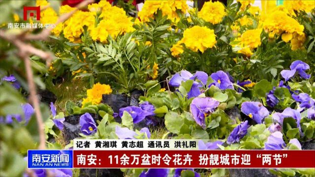 20211230 05 南安:11余万盆时令花卉 扮靓城市迎“两节”