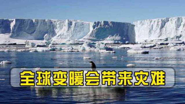 全球变暖会带来灾难,美国科学家:地球正变得越来越暗