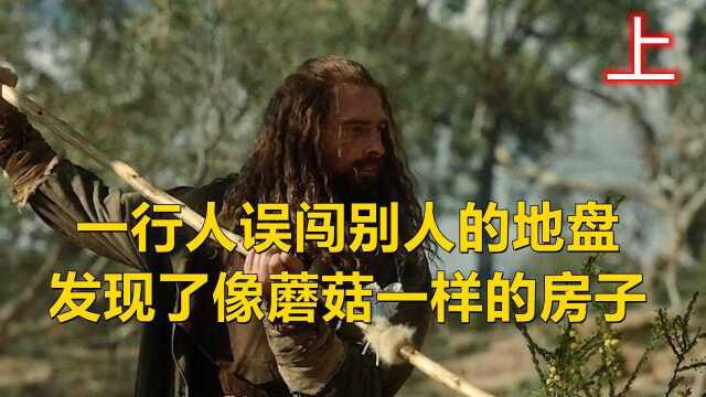 一行人误闯别人的地盘,发现了像蘑菇一样的房子