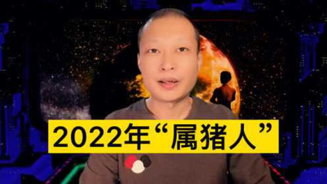 2022年生肖猪“运势”十二生肖!来看看