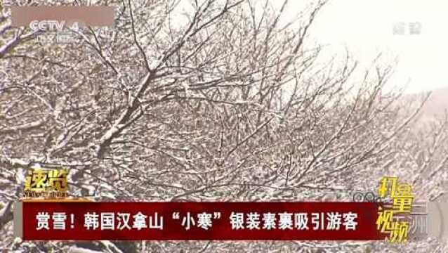 赏雪!韩国汉拿山降下大雪,银装素裹吸引众多游客