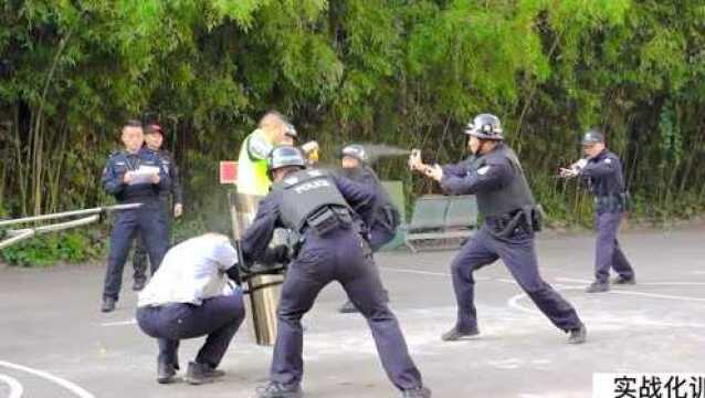 你好,警察节|我们是人民法院司法警察