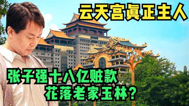 30亿的云天宫,地基下面存在强磁场?据说耗光张子强毕生赃款打造