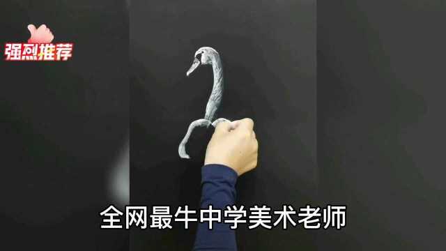 简单的粉笔就能画出栩栩如生的作品,堪称现代神笔马良的林老师