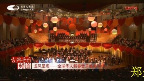 龙凤呈祥——全球华人新春音乐盛典（2015）