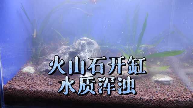 鱼缸火山石开缸浑水怎么办?火山石颗粒底砂不洗,也能水清澈、避免水质混浊的方法,鱼缸火山石开缸方法和注意事项