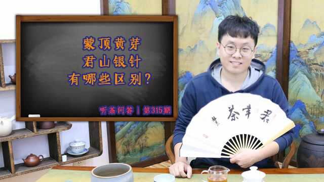 听茶问答丨蒙顶黄芽和君山银针,有哪些区别?