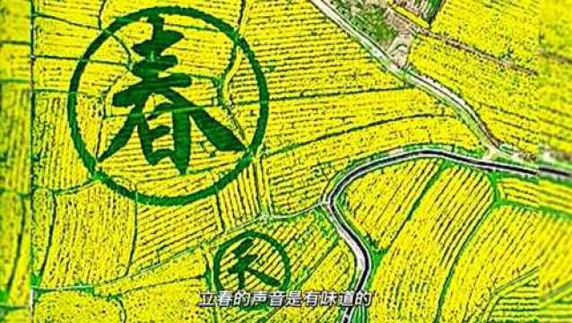 平凉市文化旅游五大平台联合吹响战“疫”暨网络中国节ⷦ˜娊‚ | 线上图书馆(七)