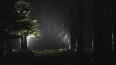 公园里的大雨和雷声 Insomnia Lullaby