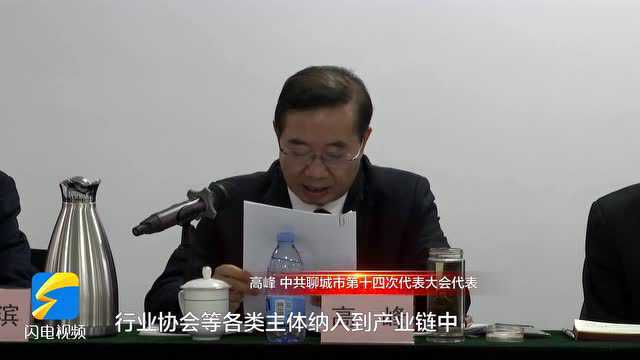 聚焦聊城党代会|党代表高峰:加快打造“领航型”企业 推动优质中小企业卡位入链发展