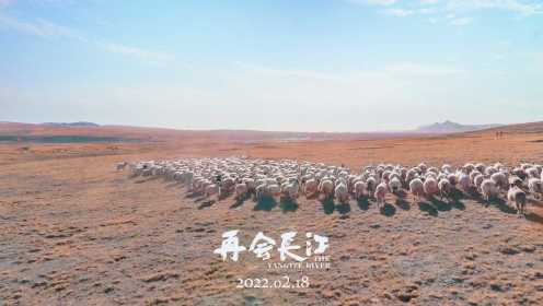 《再会长江》2月18日上线，长江已经不是原来的长江了