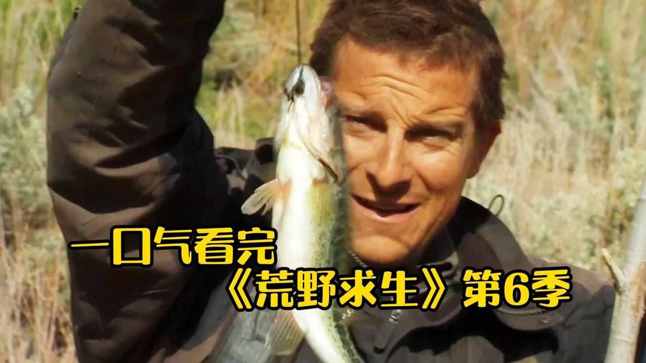 一口气看完《荒野求生》第6季，贝爷如何成为食物链顶端的男人？_高清