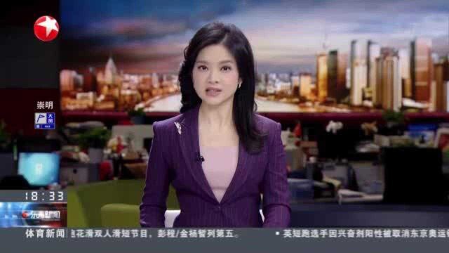 上海:国内首台自主研发波音737MAX模拟机完成组装