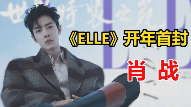 肖战拿下《ELLE》开年首推!双封面加两高奢,乃内娱第一位