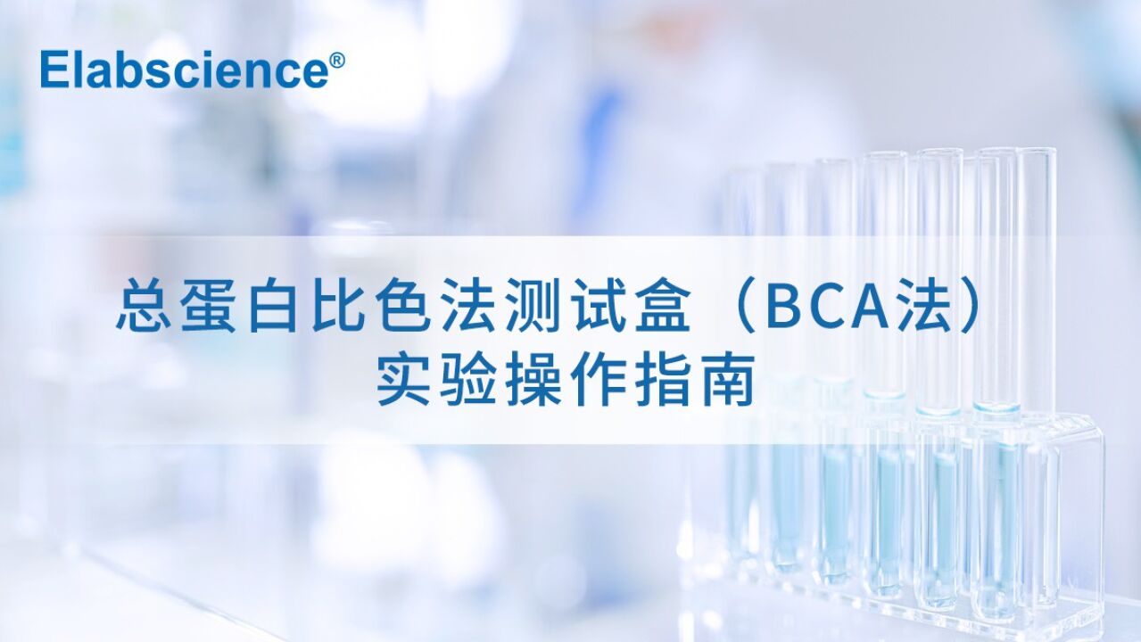 BCA法蛋白浓度测定实验操作_高清