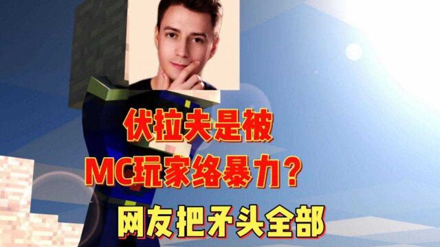 伏拉夫是被MC玩家络暴力?网友把矛头全部指向我的世界玩家?#我的世界 #虎力全开闹看点