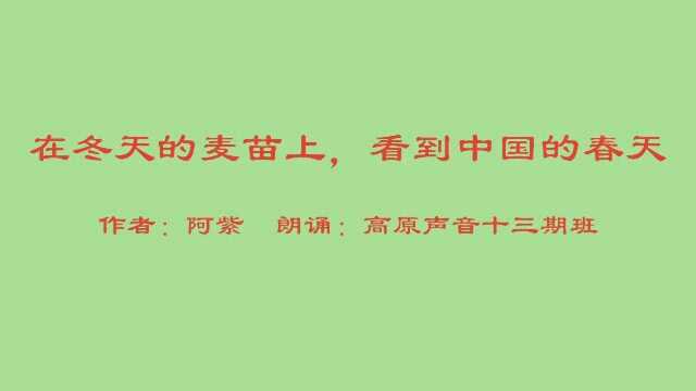 合诵《在冬天的麦苗上,看到中国的春天》,作者:阿紫,朗诵:高原声音第13期班葛虹、魏宇、柳吟、今子、周宇彤、Jenny Yu