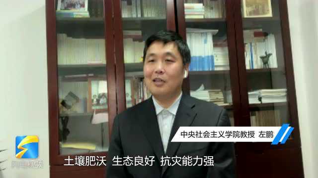 热词专家说丨中央社会主义学院教授左鹏:建设高标准农田可以以合作与联合为纽带 建立村集体群众的积极利益共同体