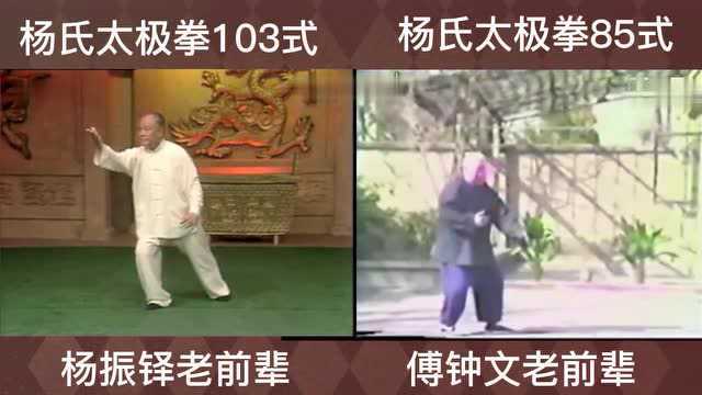 杨氏太极拳103式与85式的区别,两位老前辈完整演练对比