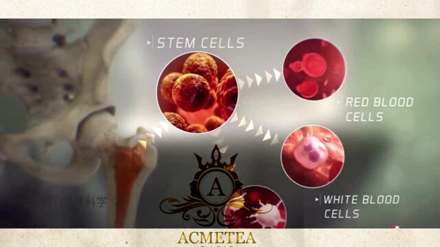 盘点:干细胞的八大功效、干细胞的功能及作用原理