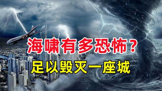 真实的海啸有多恐怖?现场如人间炼狱,大自然的威力太强了