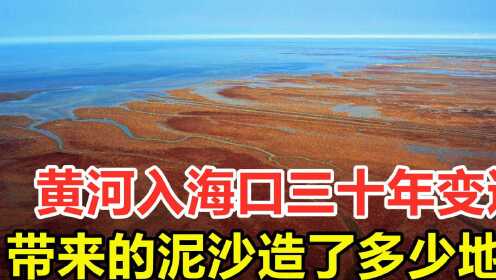 黄河入海口30年变迁，靠“自然力量”造了多少地？有多大影响呢？