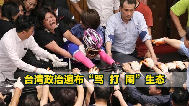 台湾政治遍布“骂、打、闹”的生态,专家直言:“台式民主”崩坏