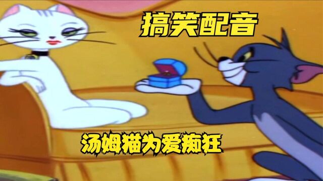 搞笑配音:《猫和老鼠》汤姆猫为爱痴狂付出真心,却输给了钞能力