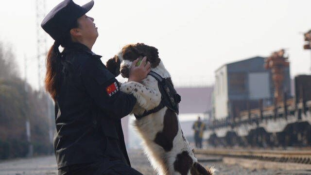 人犬情未了!训导员放不下离世多年警犬 把爱转移到另一只狗身上