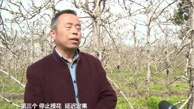 防范应对“倒春寒” 助力农业生产安全