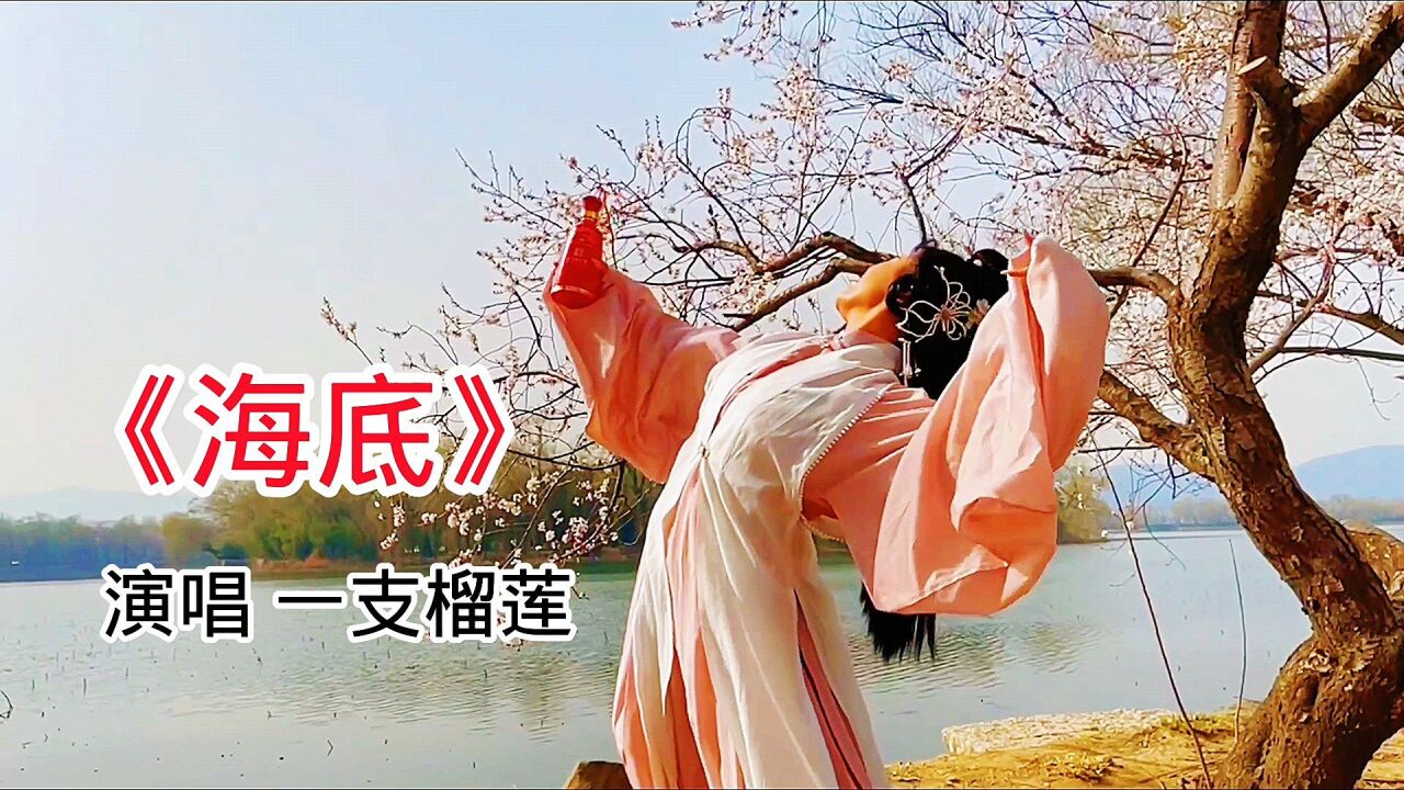 傷感歌曲,一支榴蓮《海底》旋律優美淒涼,催人淚下!