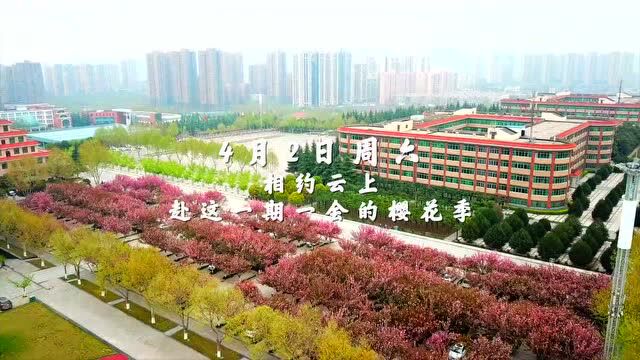 “樱漫西京,书香满园”丨2022春,西京学院樱花季直播活动预告!