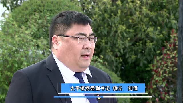 太平镇:以“三零”创建为抓手 夯实安全稳定基石